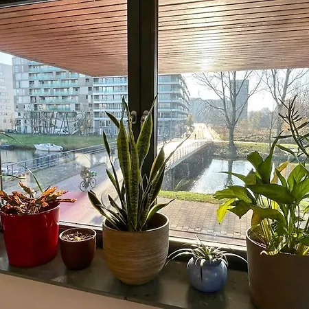 Apartment Waterfront Jungle Amsterdam