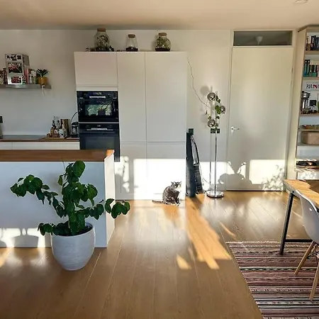Waterfront Jungle Apartment Amsterdam