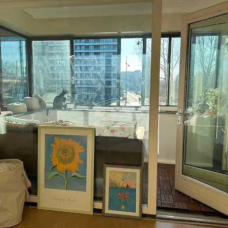 Waterfront Jungle Apartment
