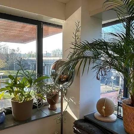 Waterfront Jungle
